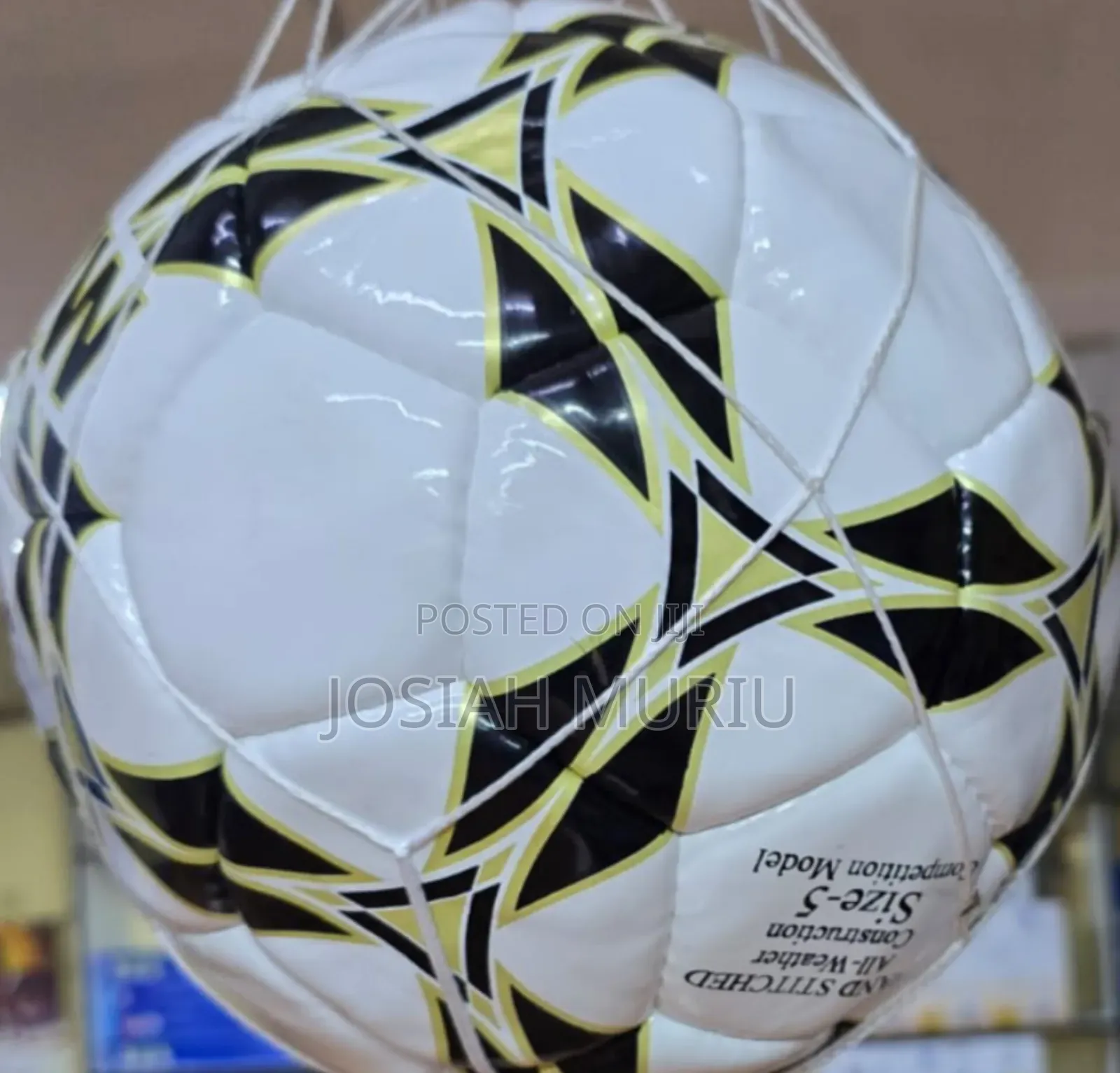 Mikasa Size 5 Professional Training Soccer Ball