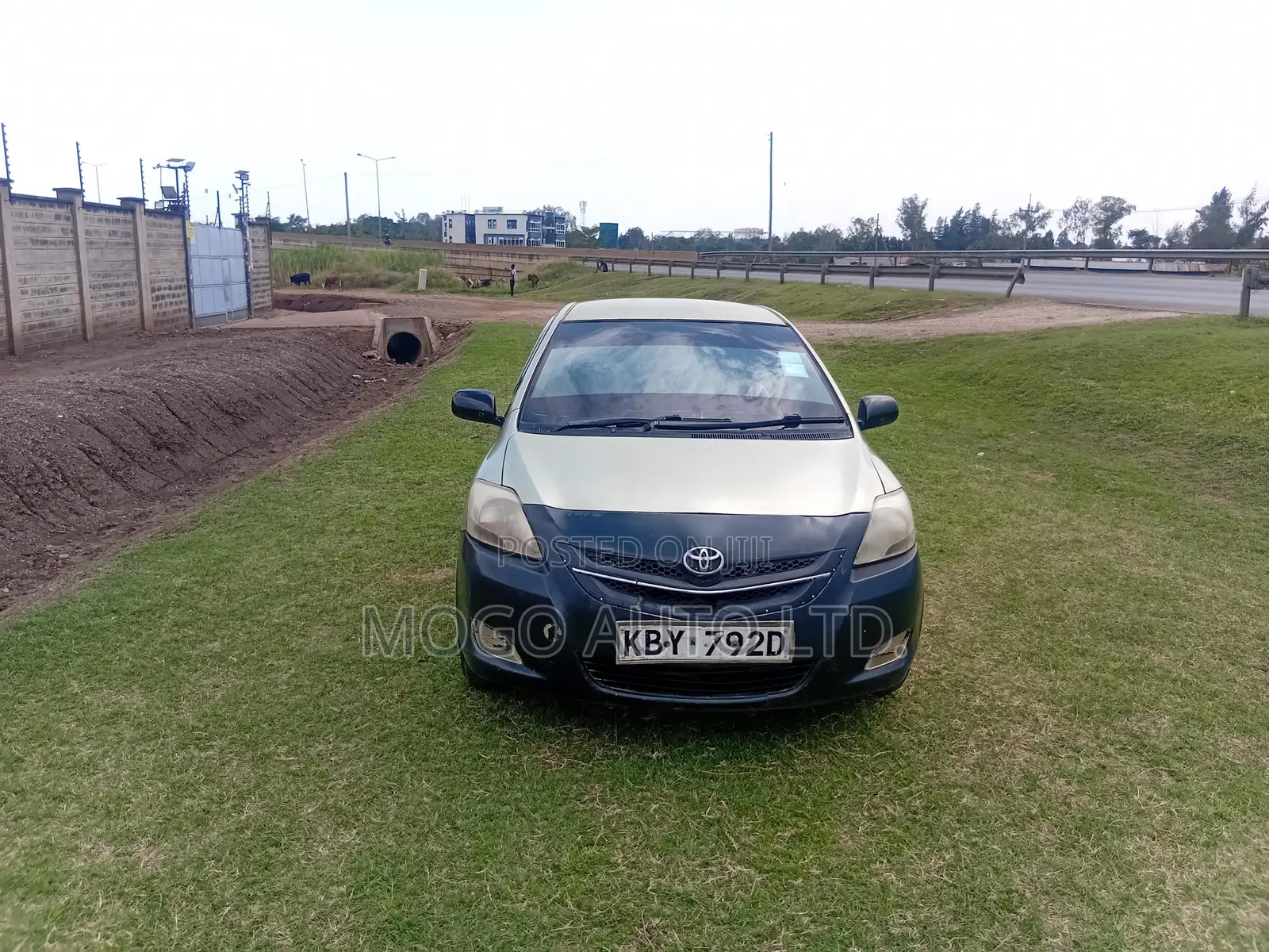 Toyota Belta 2006 Green