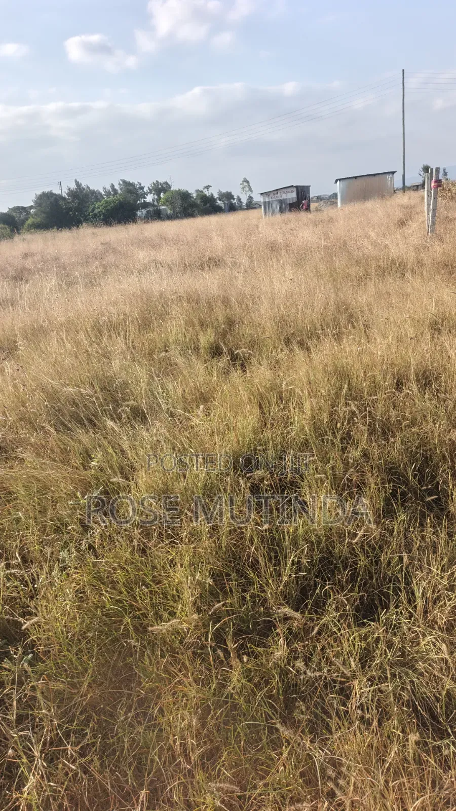 50 by 82 at Kadafu