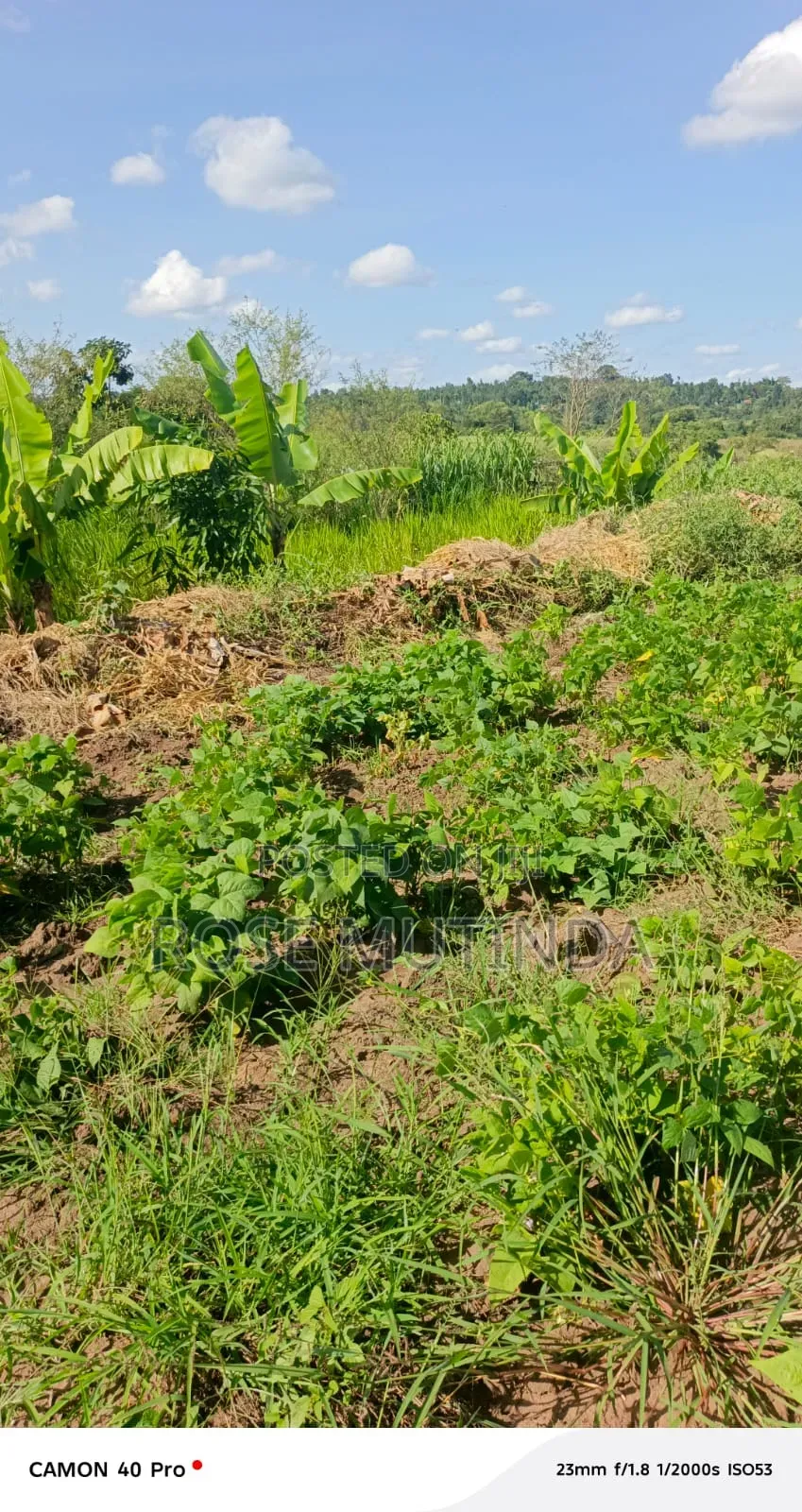 1acre at Kayatta