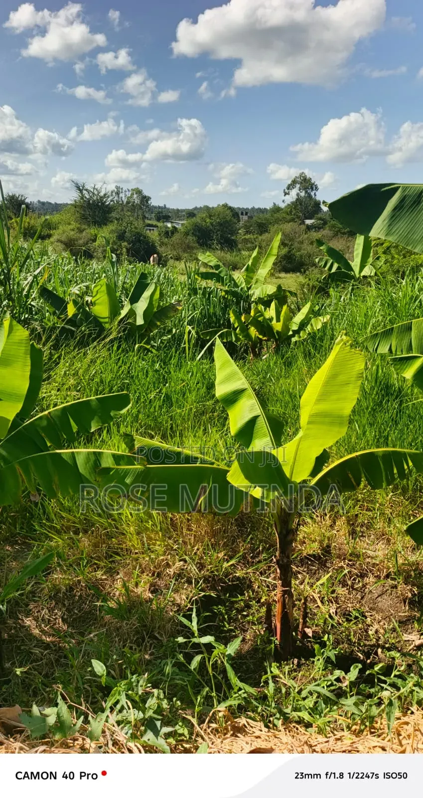 1acre at Kayatta