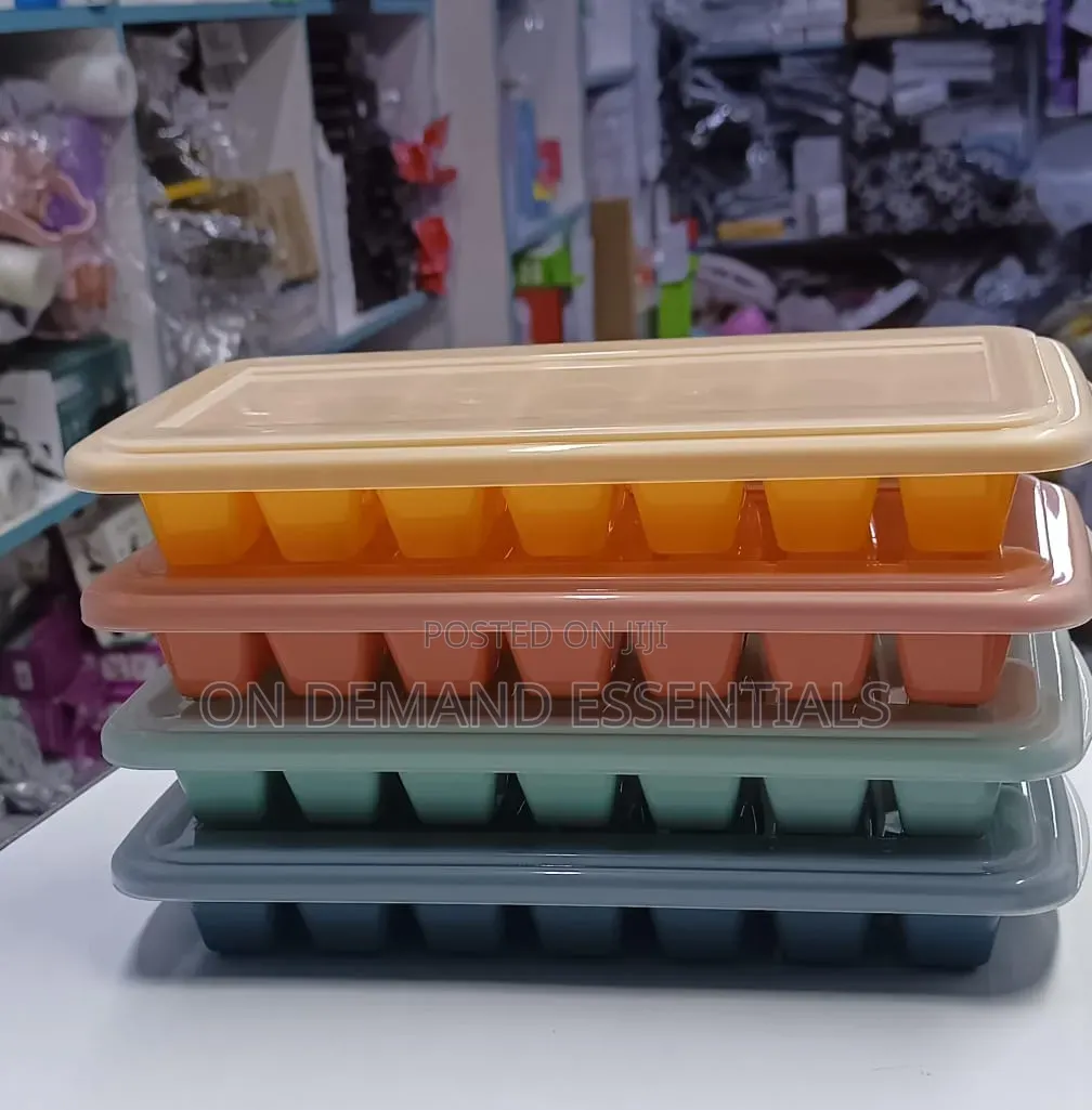 Ice Cube Tray With a Lid