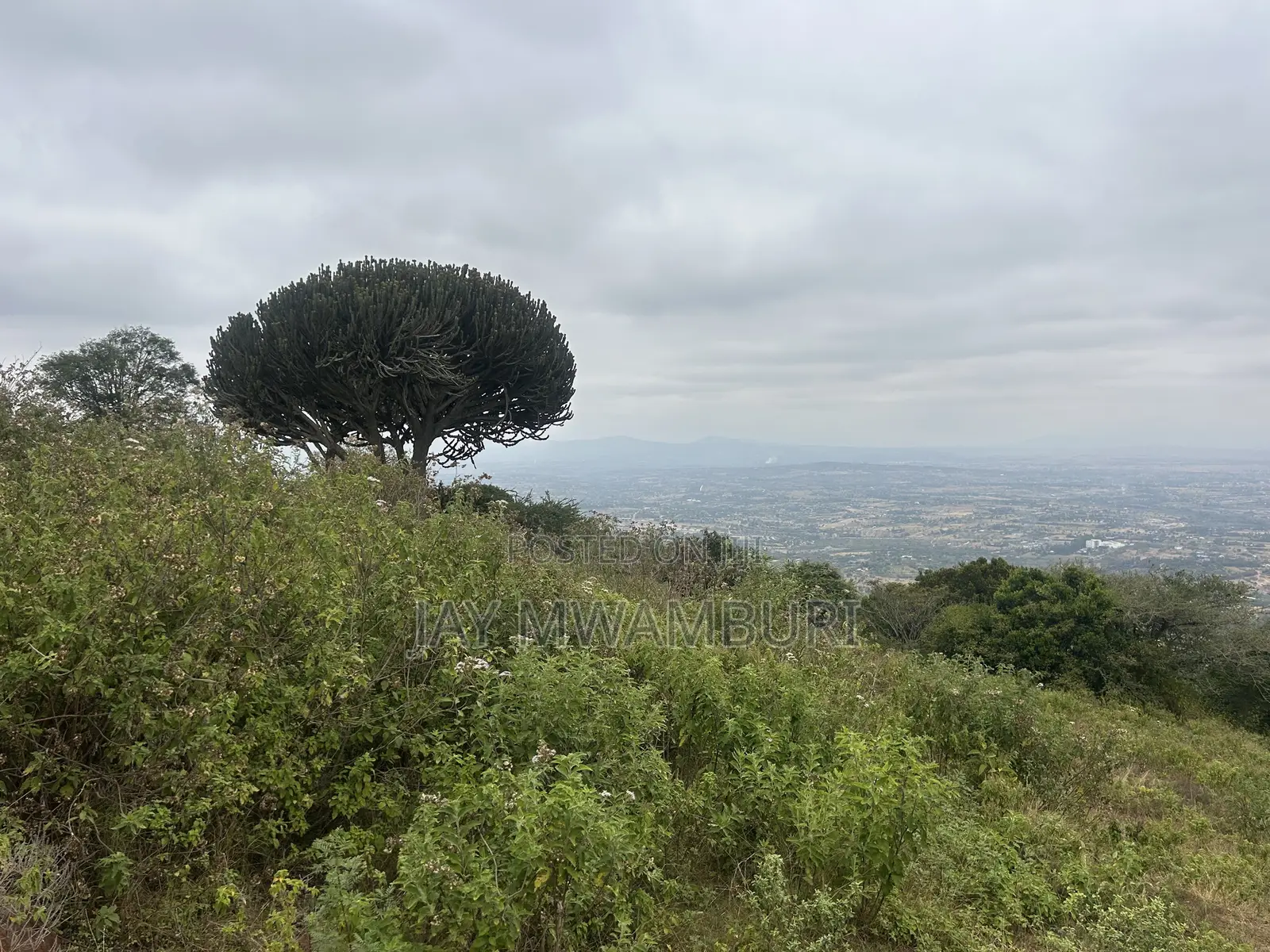 1 Acre Mua Hills Kitanga