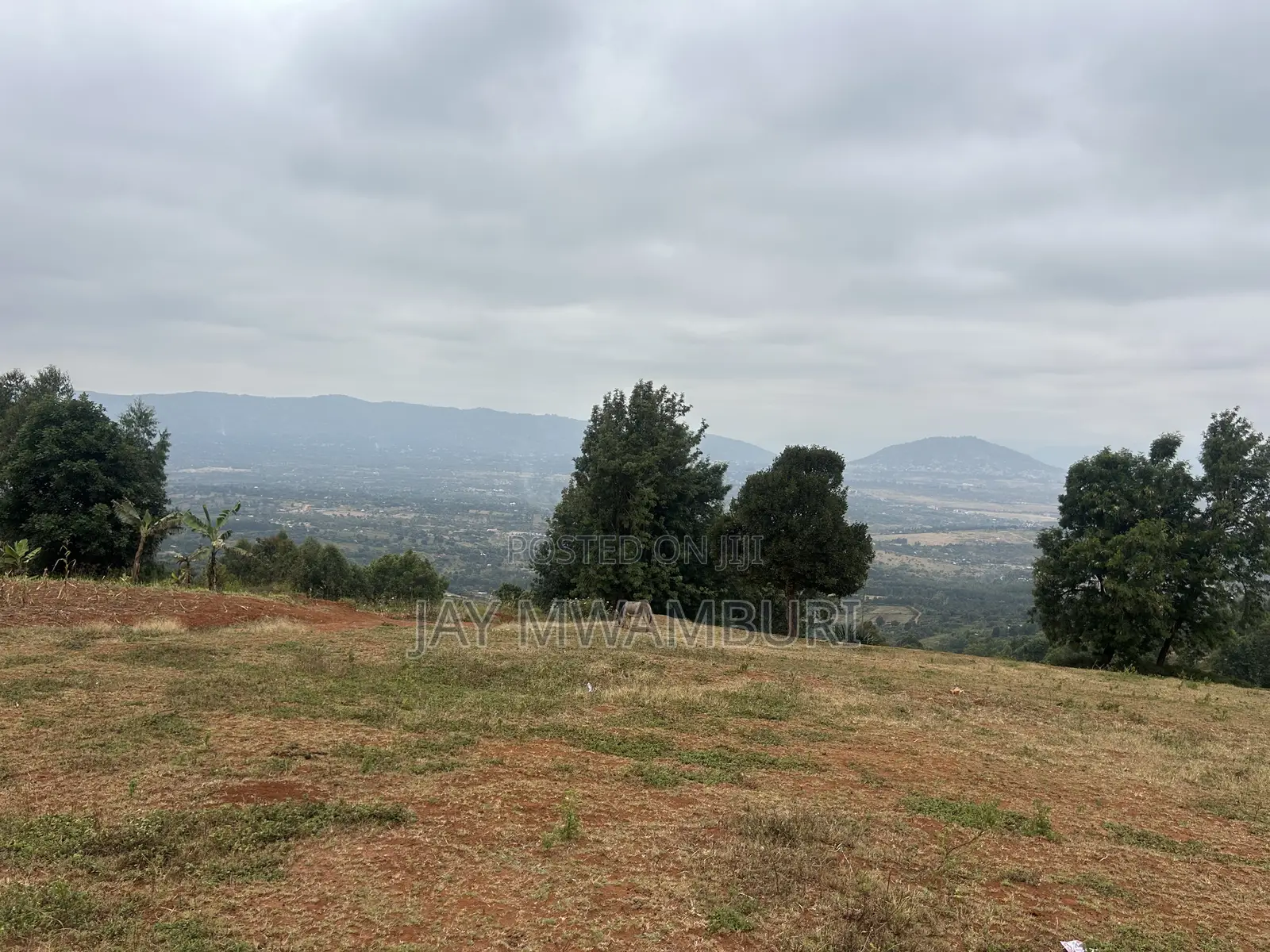 Five Acres Kitanga Mua Hills