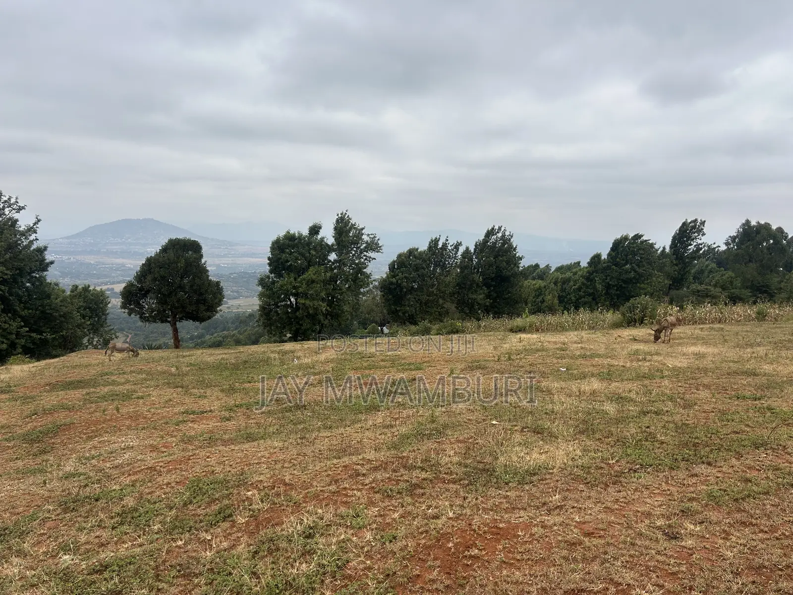 Five Acres Kitanga Mua Hills
