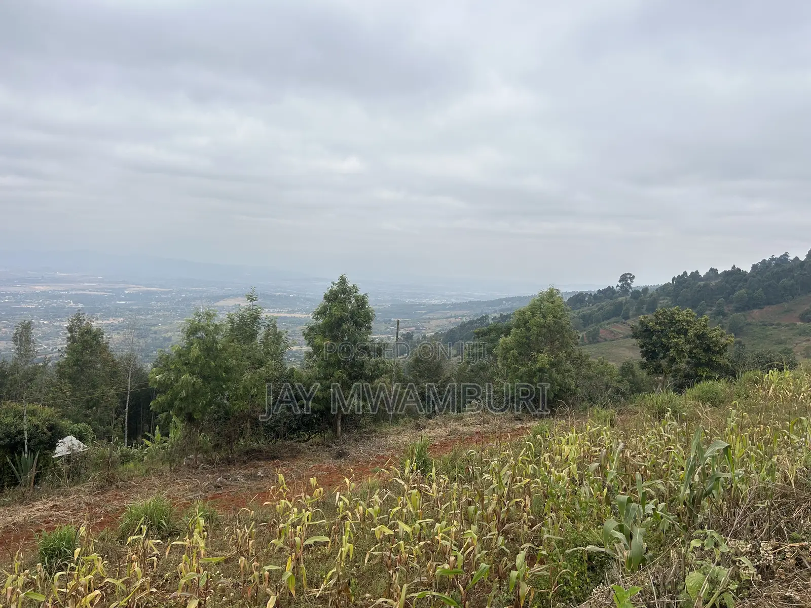 Two Acres Mua Hills Radar