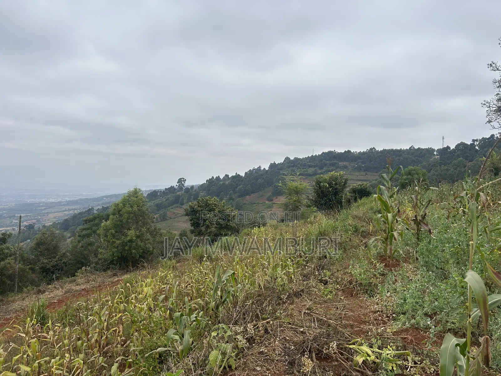 Two Acres Mua Hills Radar