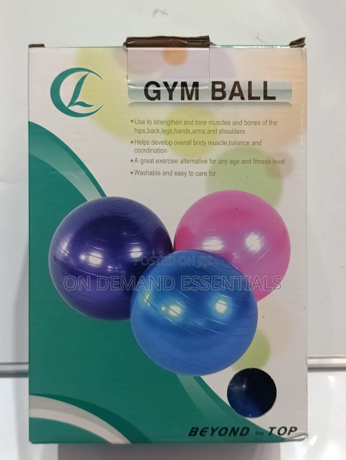 Gym Ball and Manual Pump