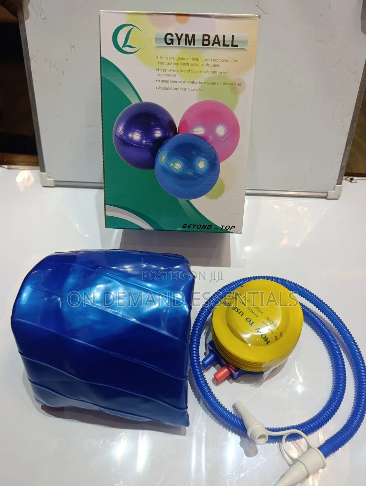 Gym Ball and Manual Pump