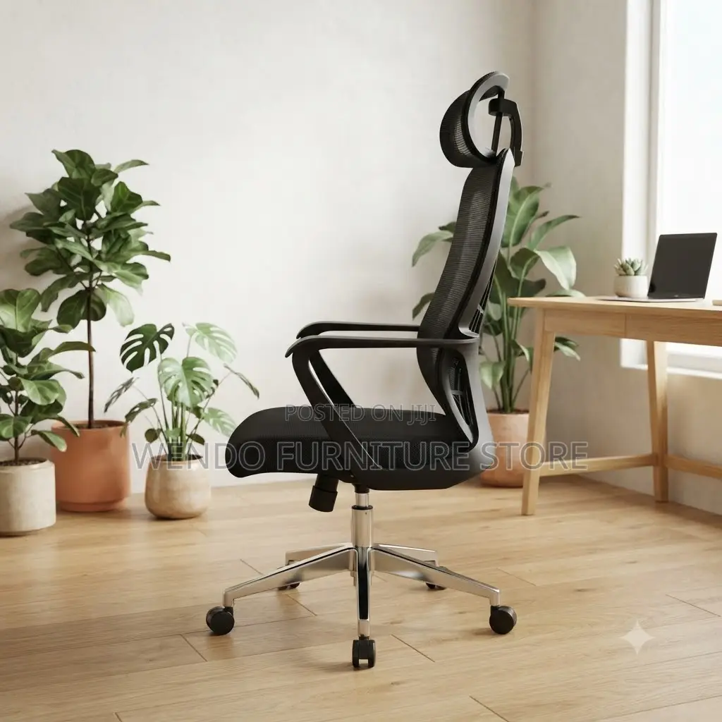 Office Chairs; Ergonomic Office Chairs With Spider Backrest