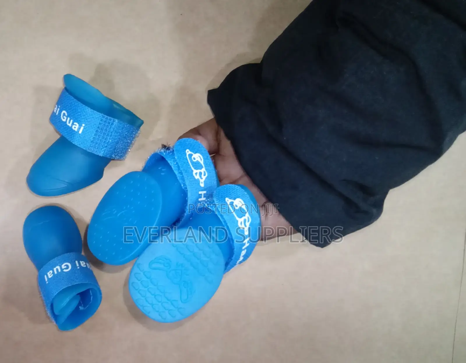 Small Dog Shoes