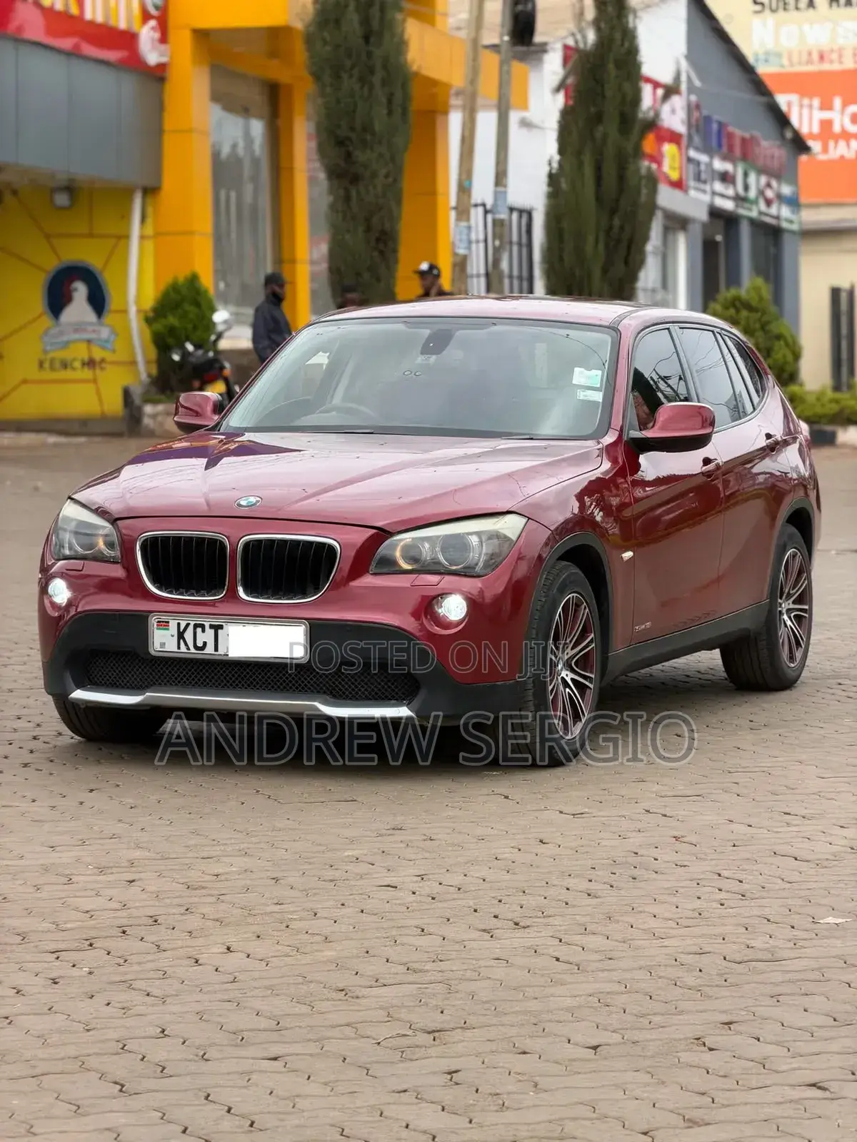 BMW X1 2011 Burgundy