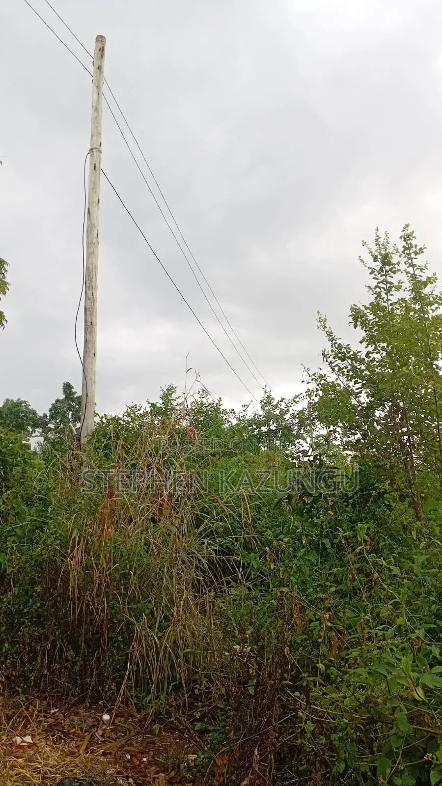 2nd Row 1/2 Acre Plot at Galu Beach Near the Beach.