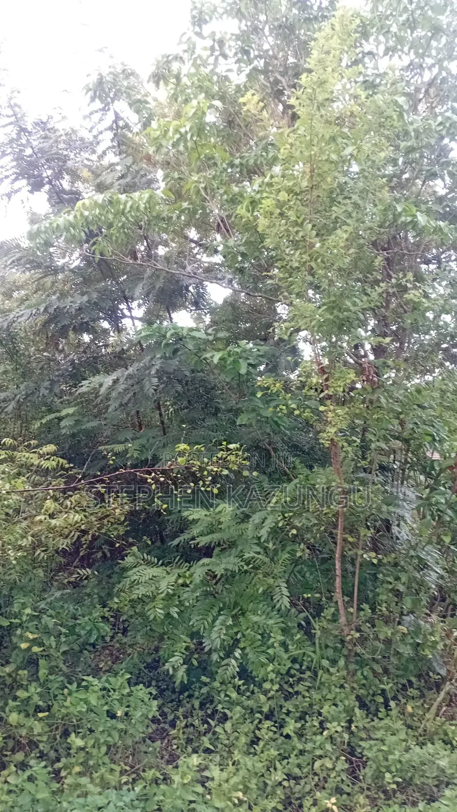 2nd Row's End 1/4 Acre Plot Size in Galu Beach