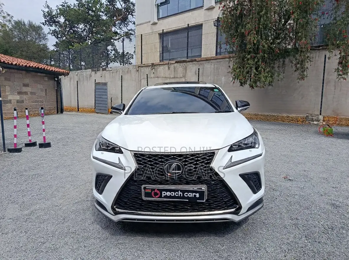 Lexus NX 2018 White