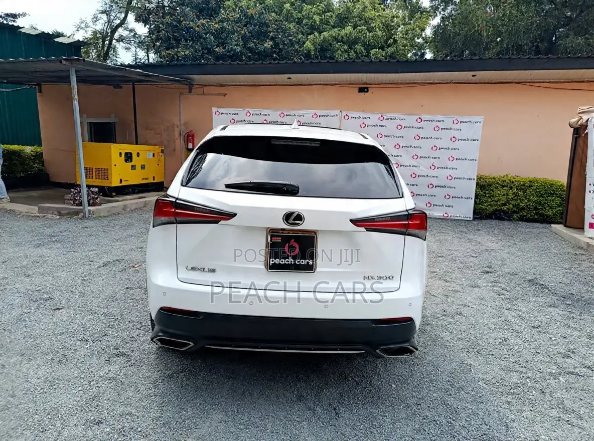 Lexus NX 2018 White