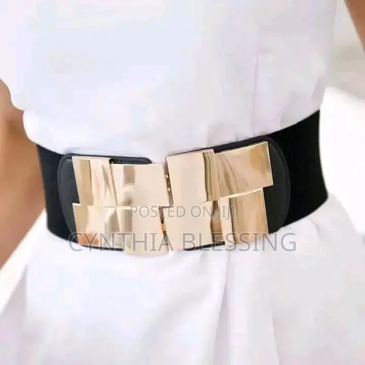 Brown Waist Belt