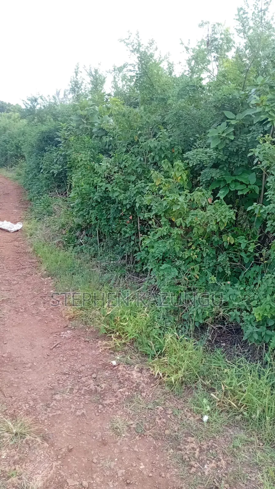 2nd Row's End 1/4 Acre Plot Size in Galu Beach Near Almanara Hotel.