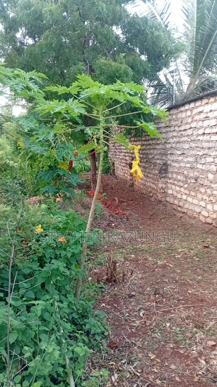 Spacious 1/4 Acre Plot at Galu Beach Near the Beach