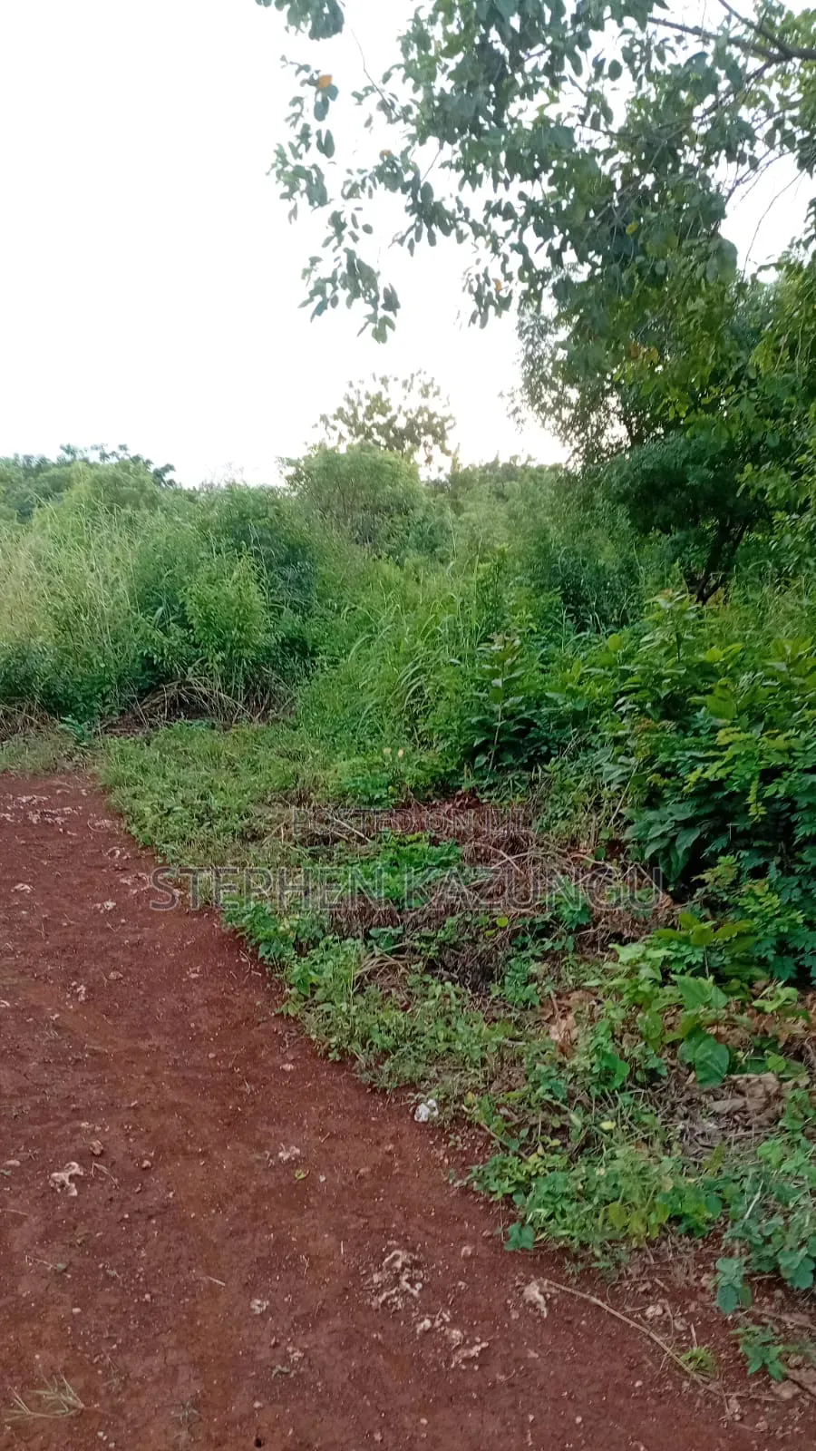 Spacious 1/4 Acre Plot at Galu Beach Near the Beach