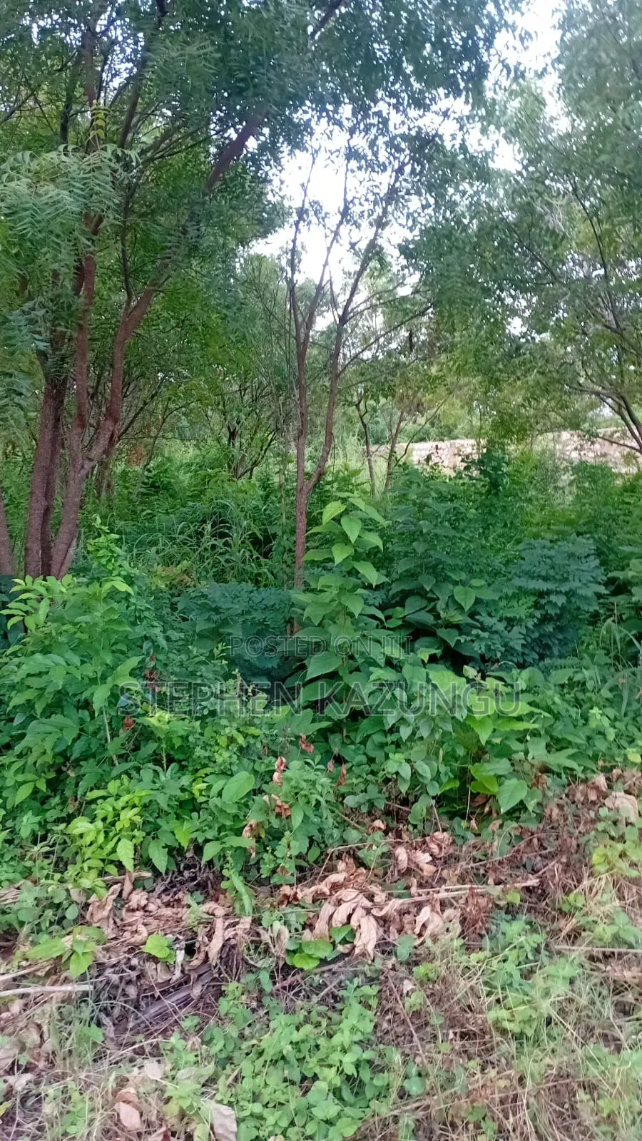 Spacious 1/4 Acre Plot at Galu Beach Near the Beach