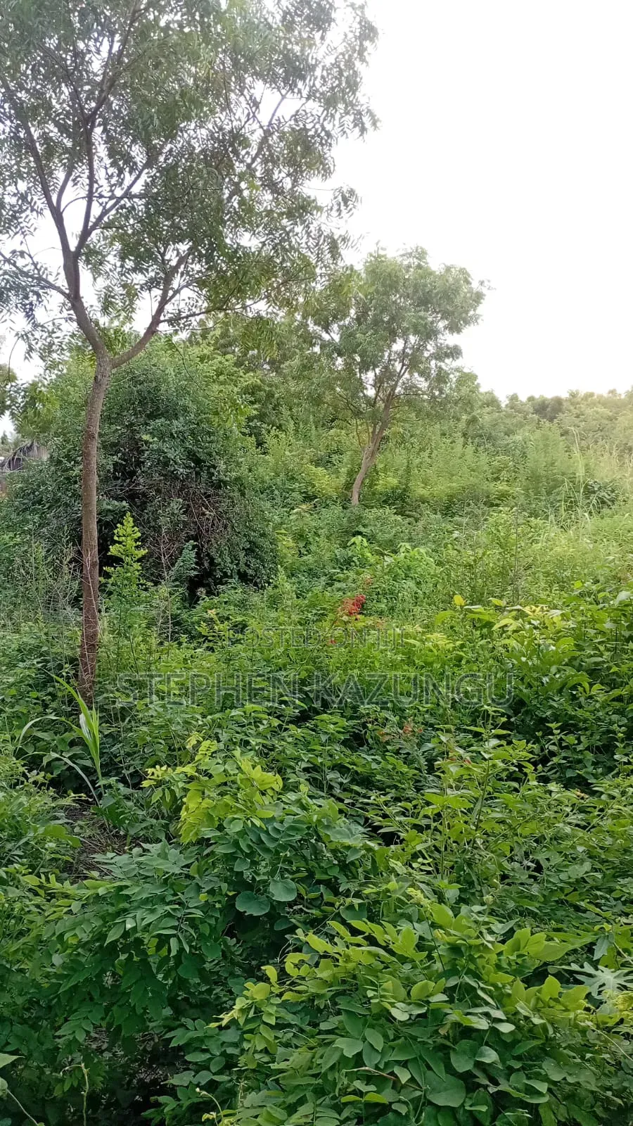 Galu's 2nd Row's End; 1/4 Acre Plot at Galu Beach Near the Beach.