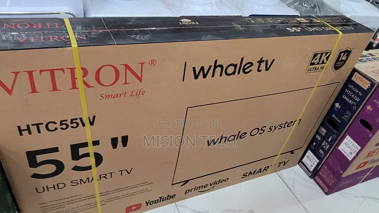 Vitron 55 Inches Whale **