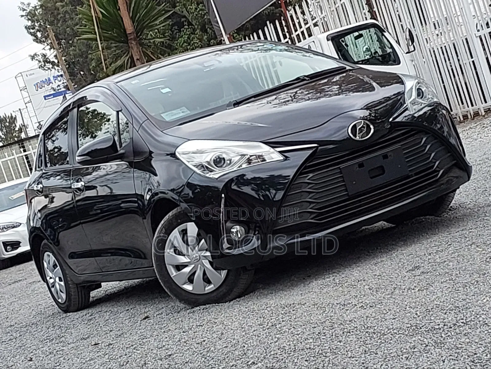Toyota Vitz 2019 Matt Black
