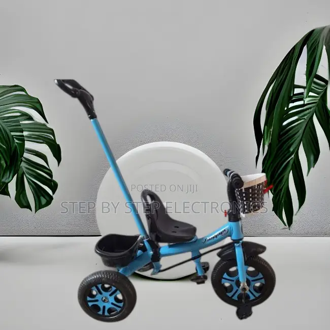Parent Control Ride Kids Bike Bicycle Tricycle With Push Handle