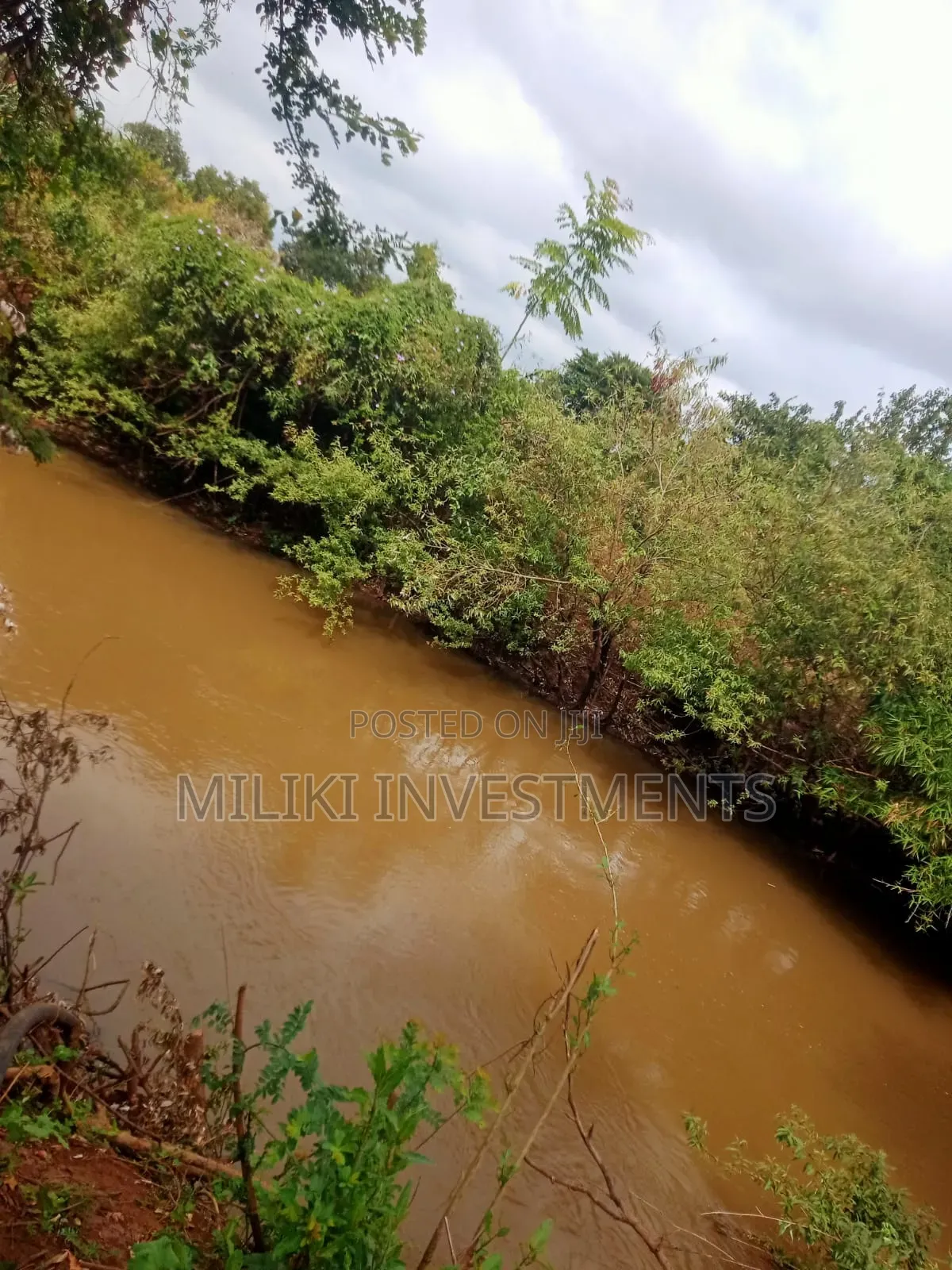 6 Acres on Sale at Murang'a-Kambirwa