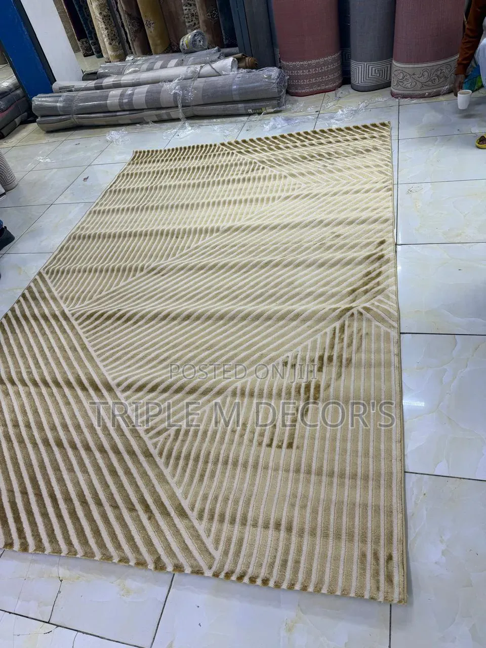 Offer Berlin 7 by 10 Turkish Carpet -Modern Living Homes