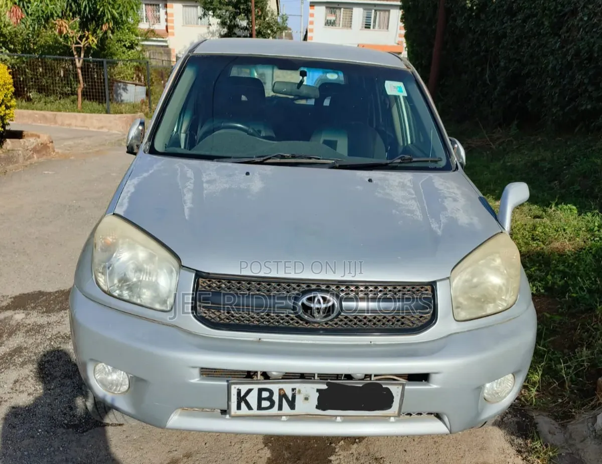 Toyota RAV4 2004 Silver