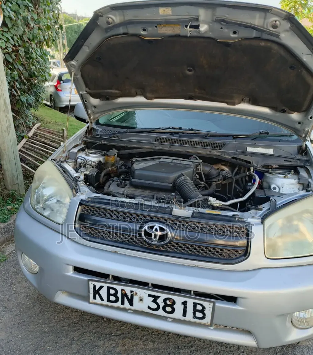 Toyota RAV4 2004 Silver