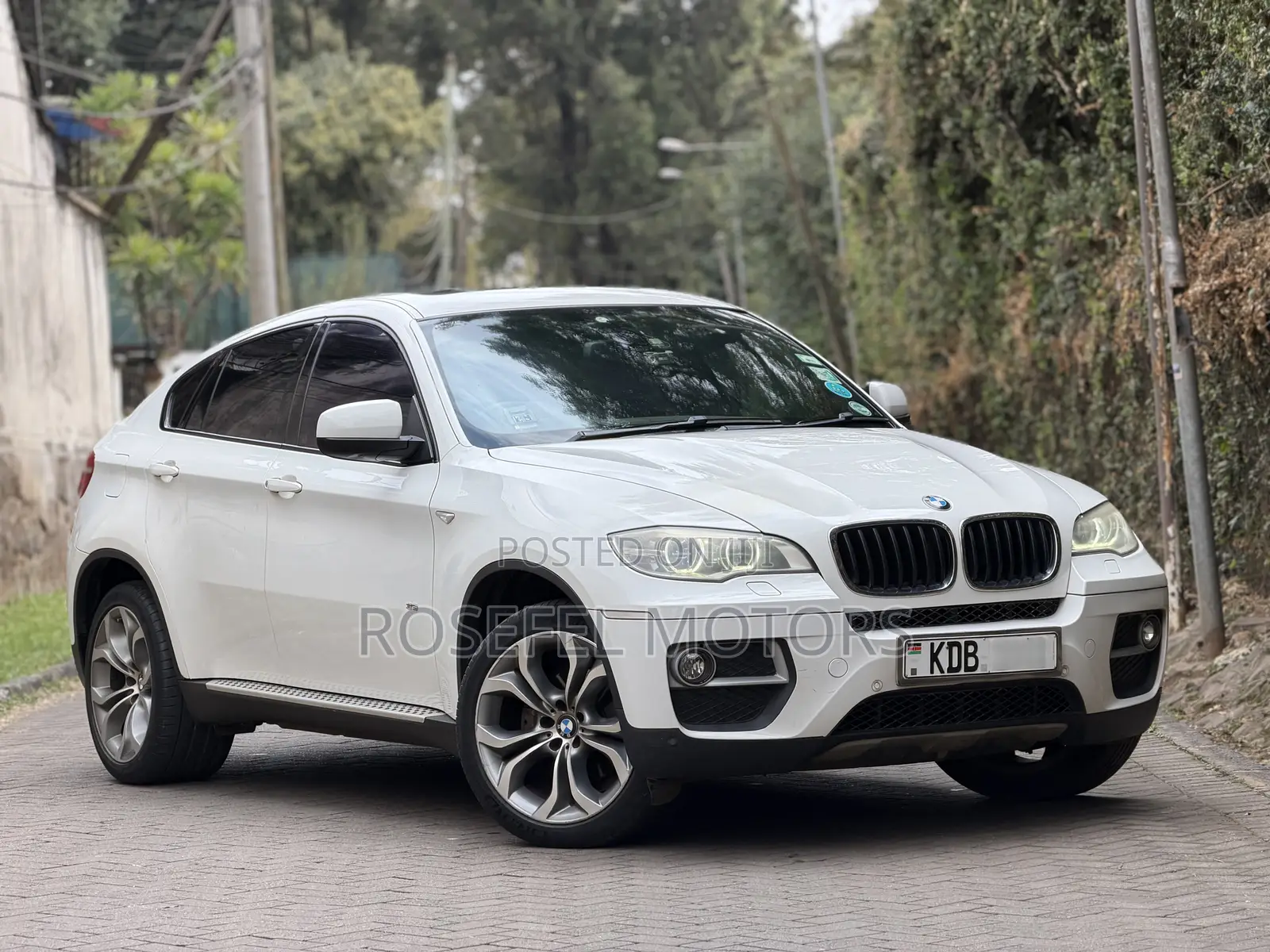 BMW X6 xDrive35i 4x4 Coupe (3.0L 6cyl 8A) 2013 White