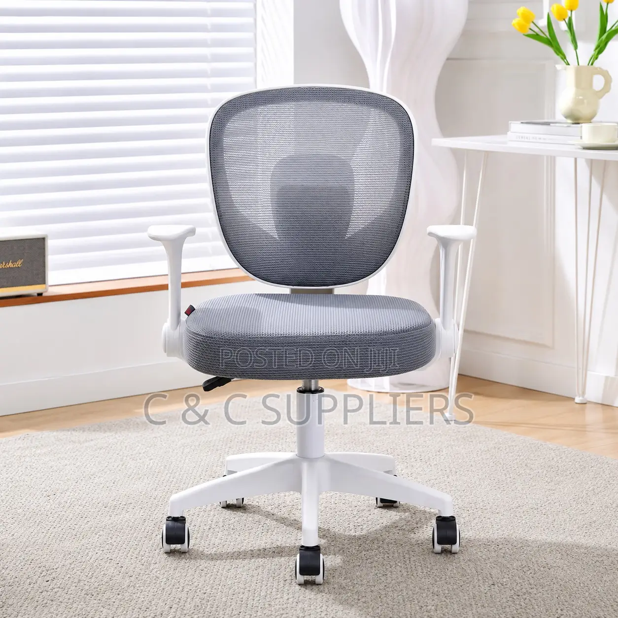 Modern Mesh Adjustable Kid's Chair.