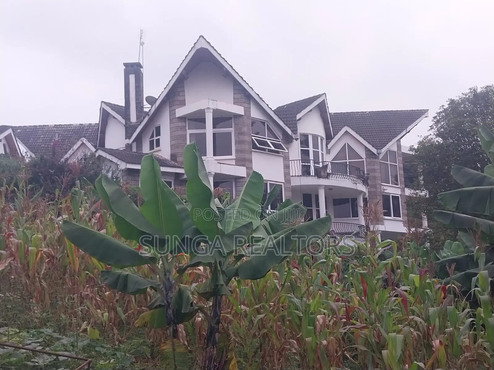 6bdrm House in Ibis Drive, Nyari for sale