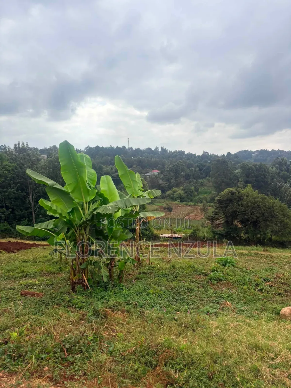 Land for Sale in Ngong
