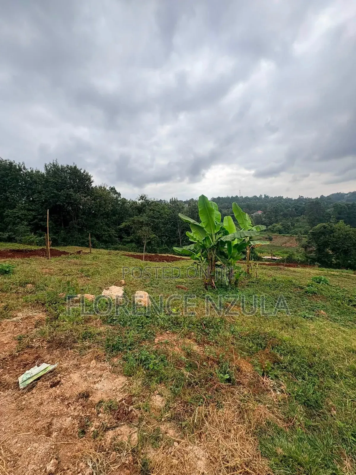 Land for Sale in Ngong