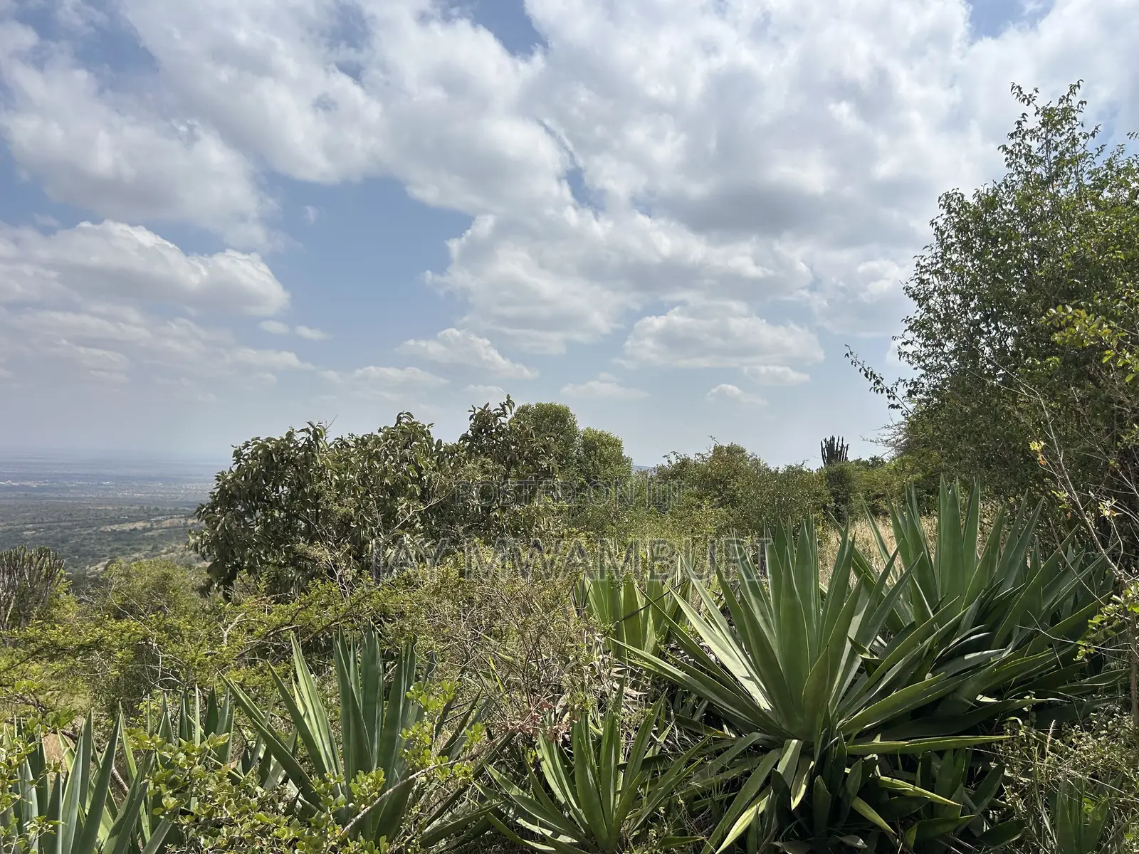 1.8 Acre Mua Hills