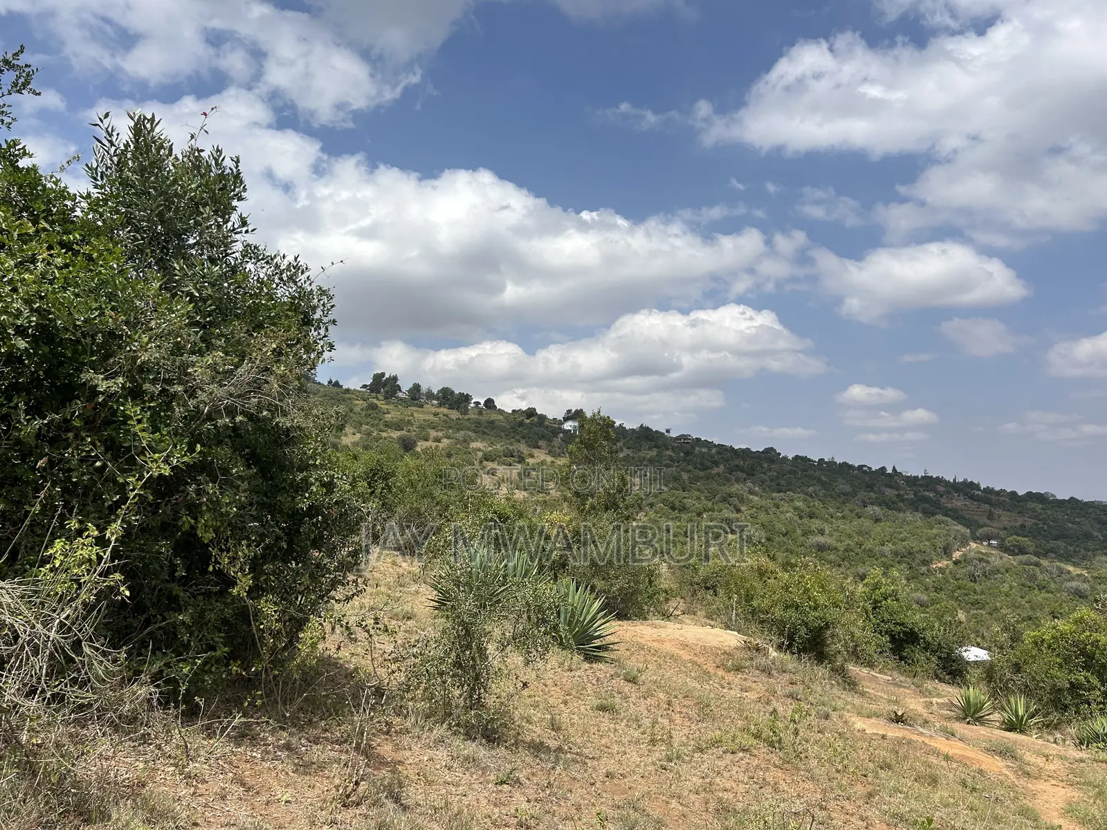 1.8 Acre Mua Hills