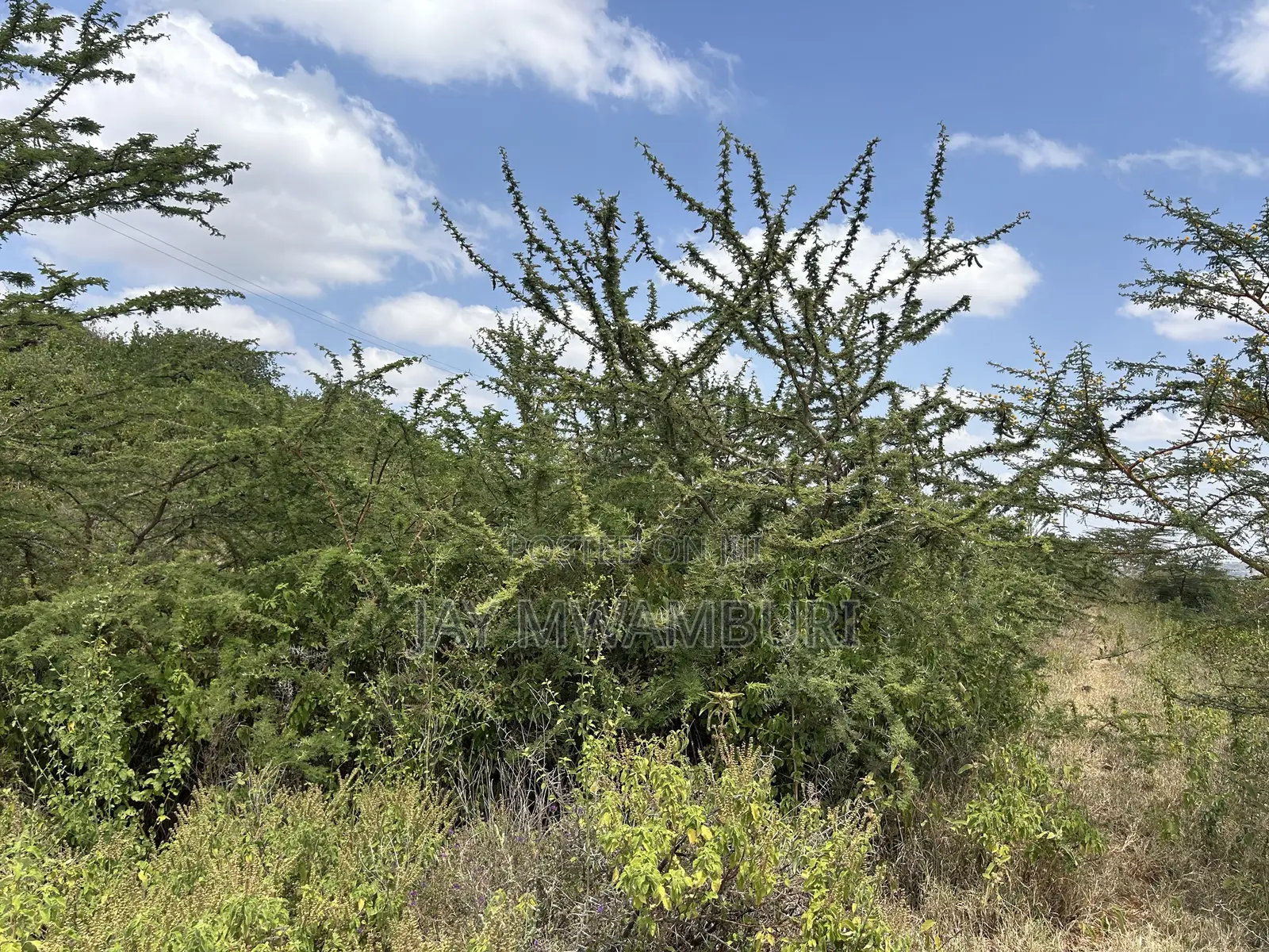 1 1/2 Acre Mua Hills