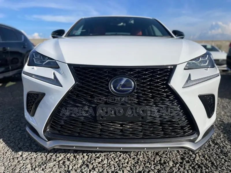 Lexus NX 2019 White