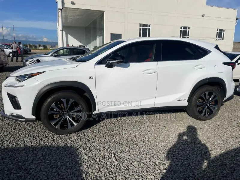 Lexus NX 2019 White