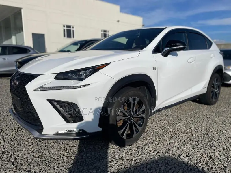 Lexus NX 2019 White