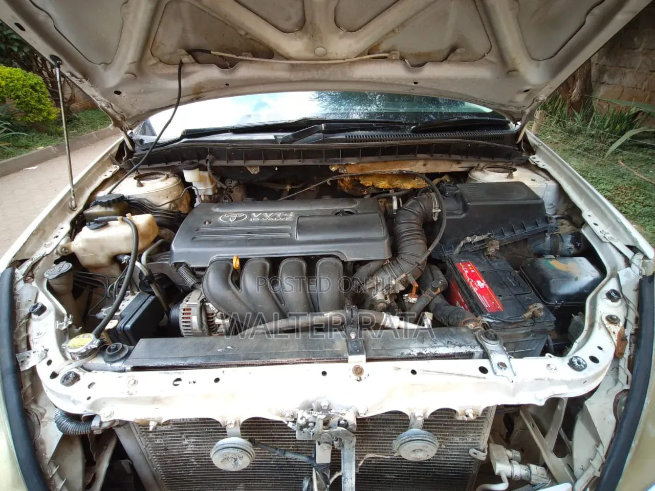 Toyota Allion 2004 White
