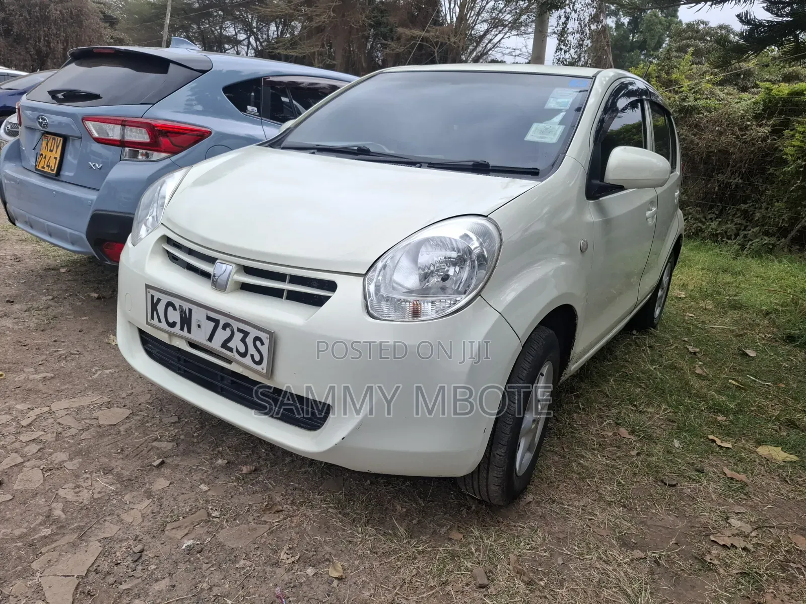 Toyota Passo 2013 White