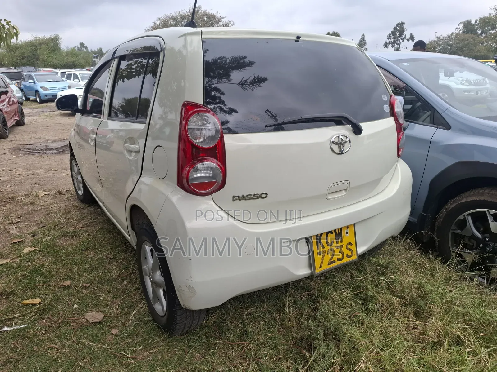 Toyota Passo 2013 White