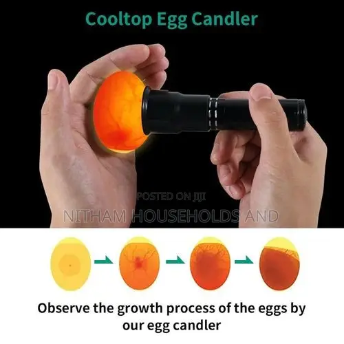 Incubator Eggtester Egg Incubator Candling Lamp 9 LED Super Cold