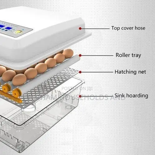 56 Egg Incubator Automatic Egg Hatcher AC DC