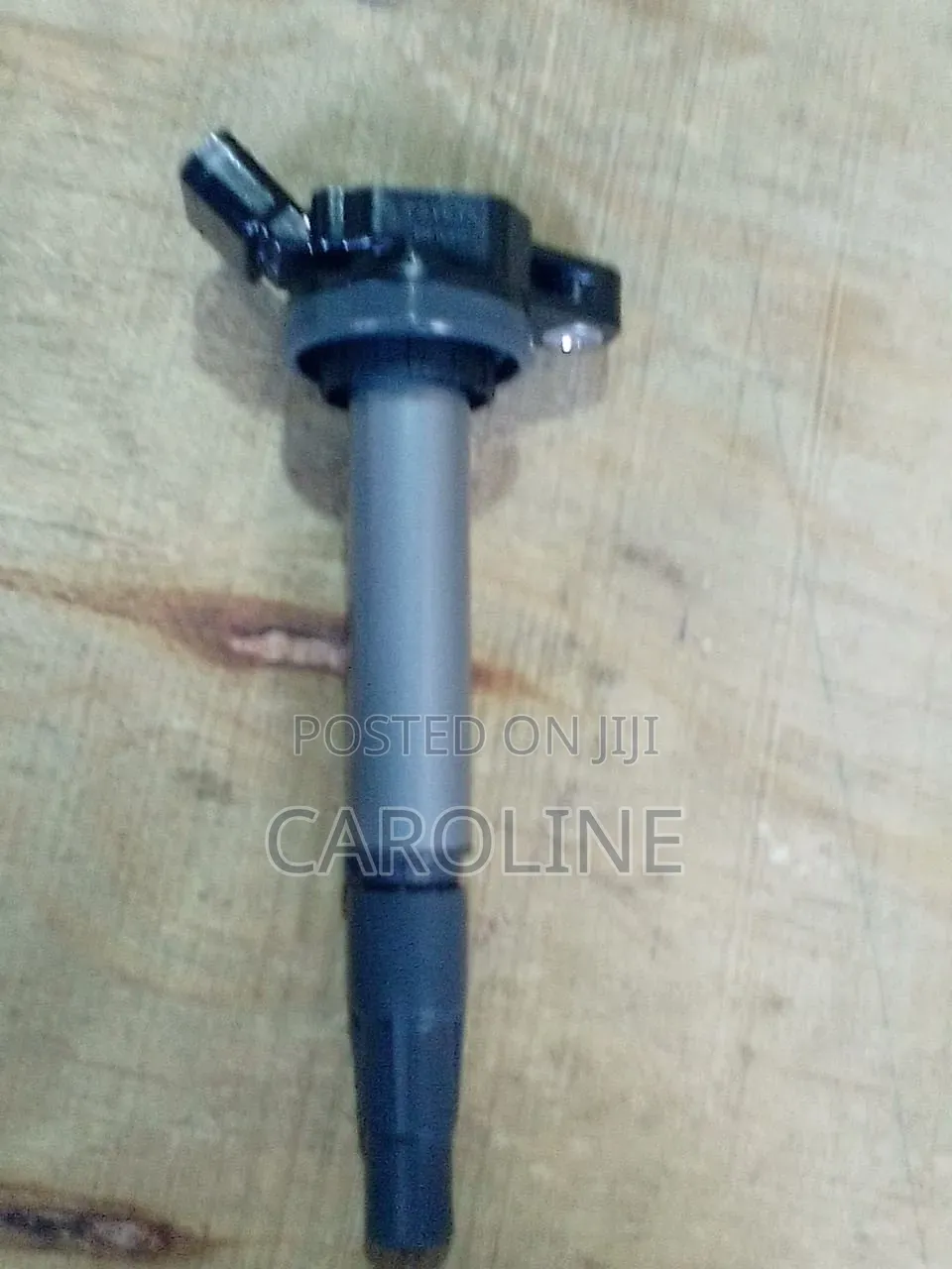 Ignation Coils Fielder Old Model